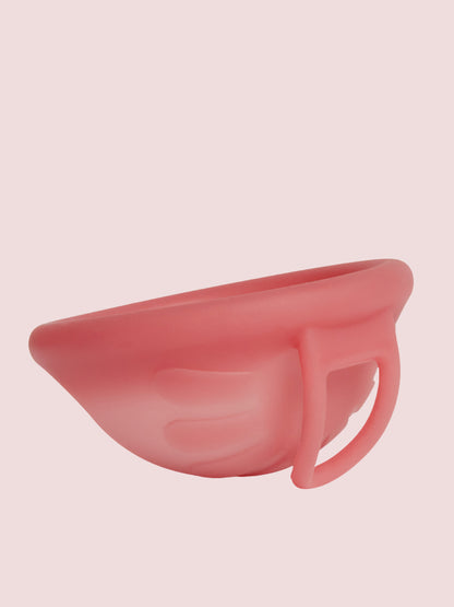 Antibakterinis menstruacinis diskas