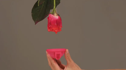 Antibakterinis menstruacinis diskas